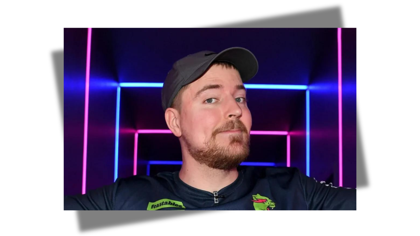 MrBeast Feastables
